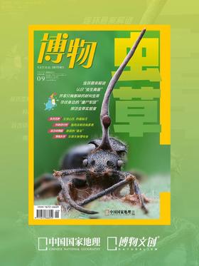 侦查！连环杀虫案！