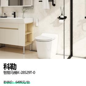 科勒 智能马桶K-28528T-0