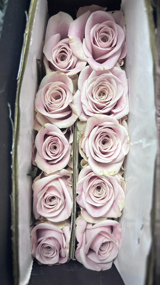 【秒杀福利】甜蜜曼塔  20枝 商品图3