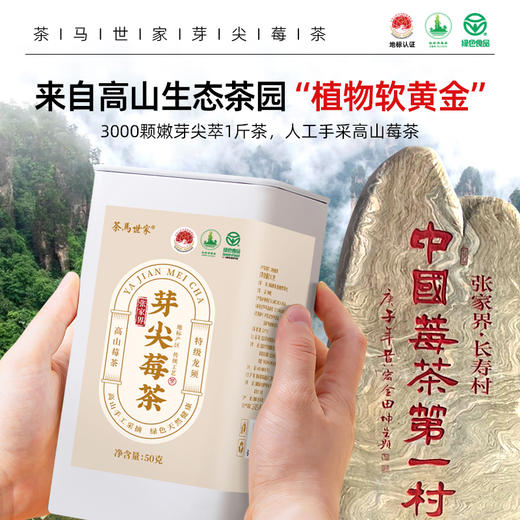 茶马世家张家界莓茶50g 商品图2