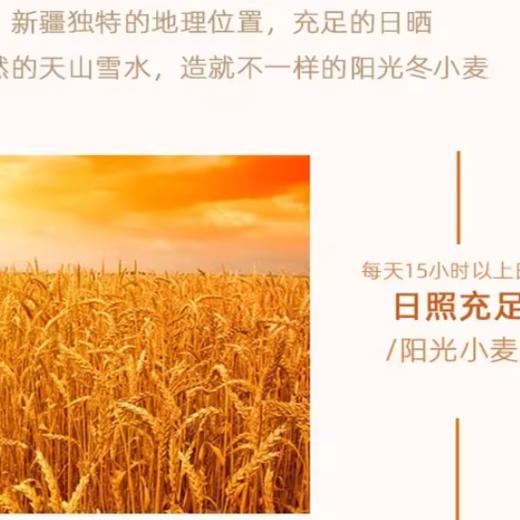 苏米仔新疆青稞荞麦面600g 商品图3