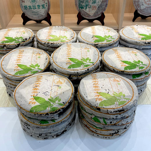 【新品品质好茶】2004年黎明茶厂班章乔木早春普洱老生茶   广东干仓一手仓有转化茶韵好  班章苦底化回甘好经典品质好茶  性价比高 商品图2