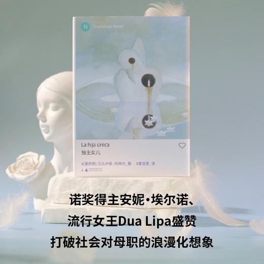 独生女儿 | 新拉美文学领军人物瓜达卢佩·内特尔长篇力作！入围国际布克奖短名单，诺奖得主安妮·埃尔诺、流行女王Dua Lipa盛赞，打破社会对母职的浪漫化想象 商品图1