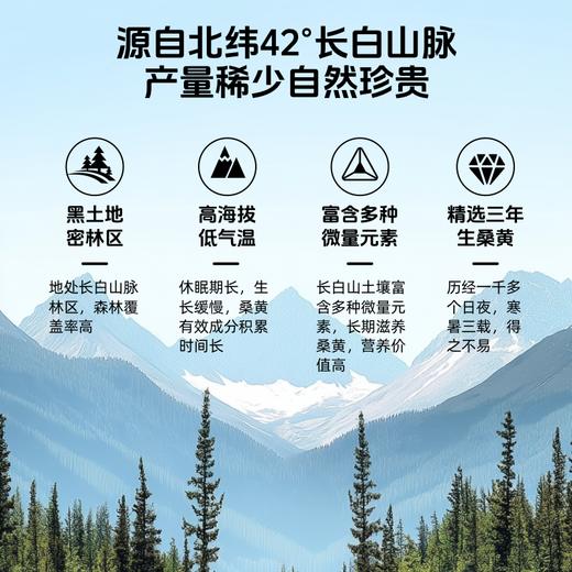 【临期清仓 有效期至2026/11/24】【森林黄金】草牧里 桑黄超微粉（固体饮料） 2g*30条/盒 甄选三年生桑黄 商品图1