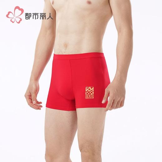 都市丽人内裤男士内裤40S棉拉架内裤氨纶头平角内裤男内裤FKHC49 商品图1