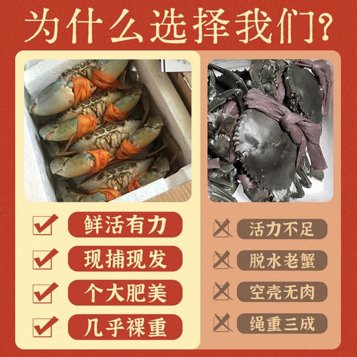 三门青蟹5只2斤左右装 商品图2