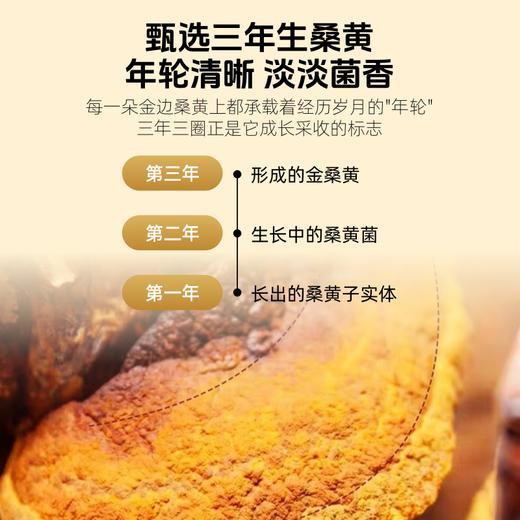 【临期清仓 有效期至2026/11/24】【森林黄金】草牧里 桑黄超微粉（固体饮料） 2g*30条/盒 甄选三年生桑黄 商品图2