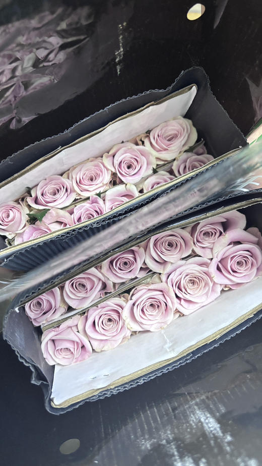 【秒杀福利】甜蜜曼塔  20枝 商品图4