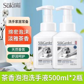 【亚欧超市】蔬果园茶香泡泡洗手液500m*2