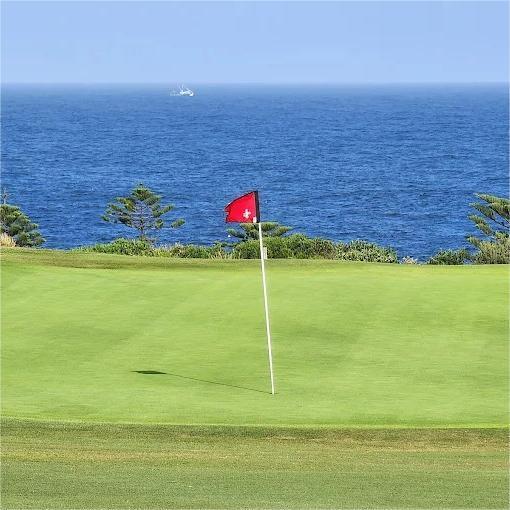 圣迈克尔高尔夫俱乐部 St. Michael's Golf Club  | 悉尼高尔夫球场 | 澳大利亚高尔夫球场俱乐部 商品图4