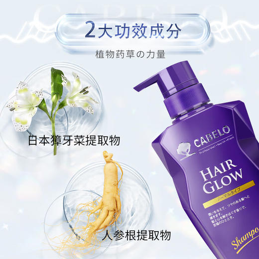 【分仓直发包邮】卡蓓诺育发洗发水（基础型）350ml 商品图1