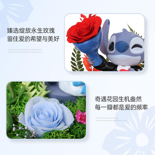VBEINGS花语 史迪奇甜酷奇遇花园系列 永生花礼盒史迪奇摆件花束结婚生日七夕礼物 商品图5