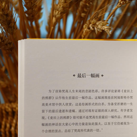 谁射sha了梵高？ 商品图3