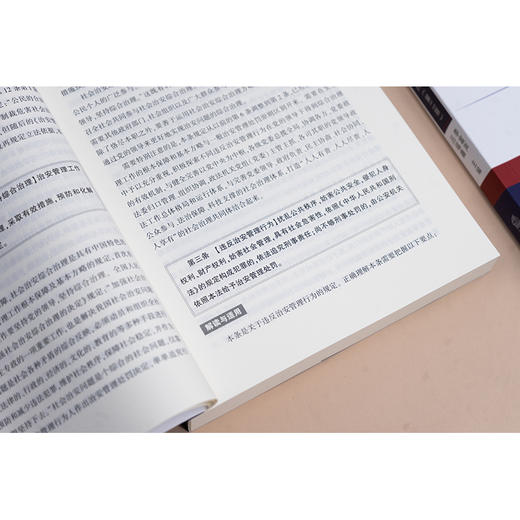治安管理处罚法解读与适用(第二版) 商品图3