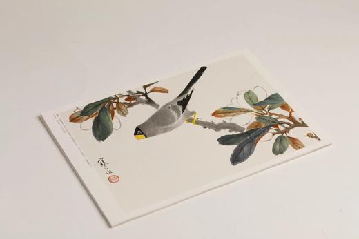 江寒汀百鸟百卉画册  本社 编 商品图9