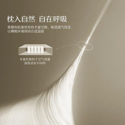 水星家纺A类抑菌青桑有机蚕丝枕头 商品图2