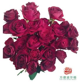 外购多头玫瑰-红玛卡