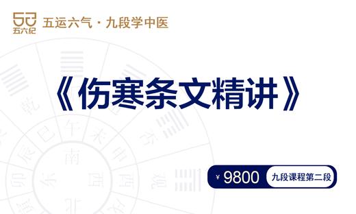 《伤寒条文精讲》课 商品图0
