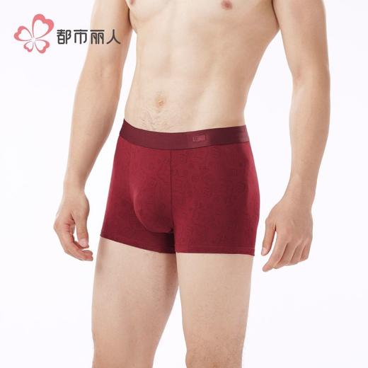 都市丽人内裤男士内裤50S棉拉架内裤明筋平角内裤男内裤FKHC48 商品图2