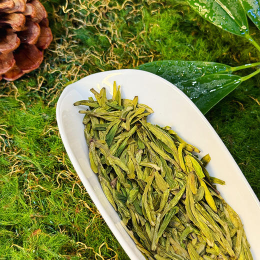 春序明前龙井200克 商品图3