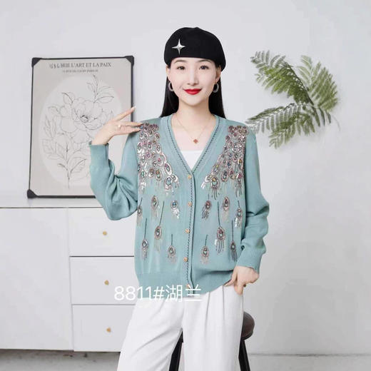 FCY JY8811复古钉珠刺绣针织开衫单排扣V领毛衣 商品图3