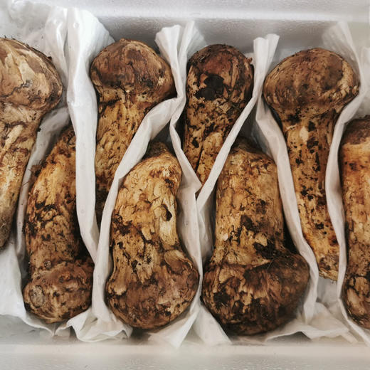 《松茸季：稻城松茸 》来自原始森林的自然馈赠，新鲜采摘 冷链空运，正值尾期，错过等来年！ 商品图3