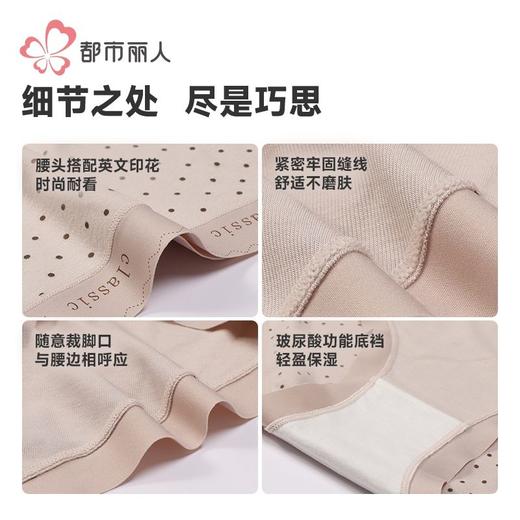 都市丽人内裤女士内裤人棉内裤女士平角内裤女内裤LKH5Q2 商品图7