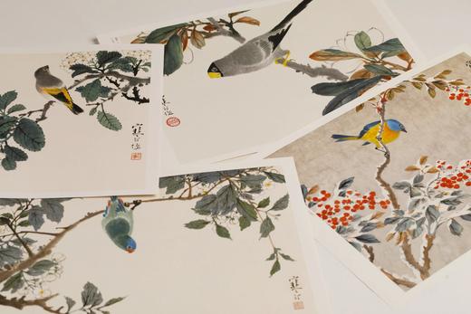江寒汀百鸟百卉画册  本社 编 商品图10