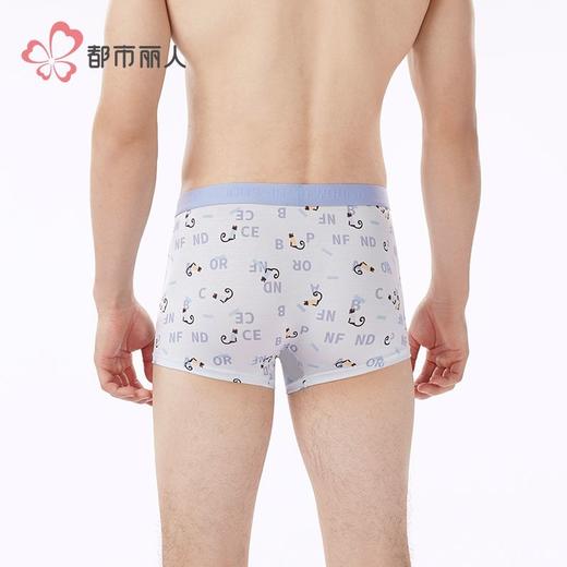 都市丽人内裤男士内裤60S木莱尔内裤明筋平角内裤男内裤FKHC45 商品图3