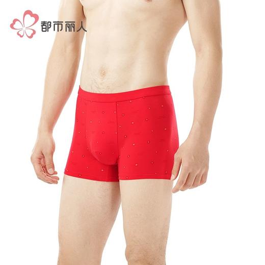 都市丽人内裤男士内裤50S棉拉架内裤氨纶头平角内裤男内裤FKHC52 商品图2