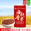 2025新米上市 【海红香米【买3kg送1kg 实发8斤！】 商品缩略图0
