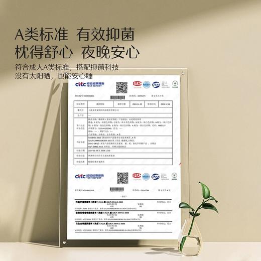 水星家纺A类抑菌青桑有机蚕丝枕头 商品图3