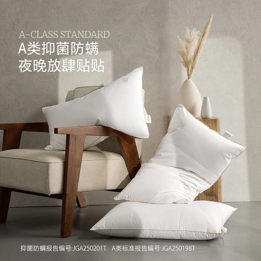水星家纺全棉复合白鹅绒枕 商品图4