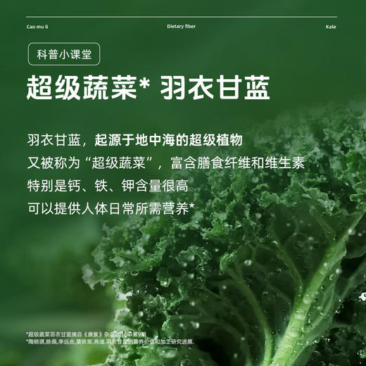 【买4盒赠1盒】草牧里 羽衣甘蓝粉 5g*21条/盒 早上来一杯补充蔬菜营养 商品图1