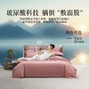 水星集团百丽丝家纺100支全棉3/4套件 商品缩略图1