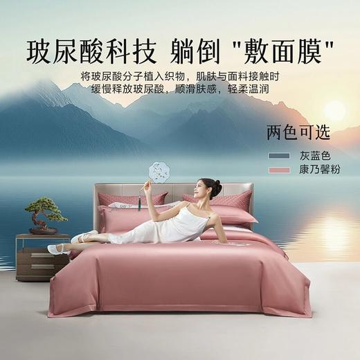 水星集团百丽丝家纺100支全棉3/4套件 商品图1