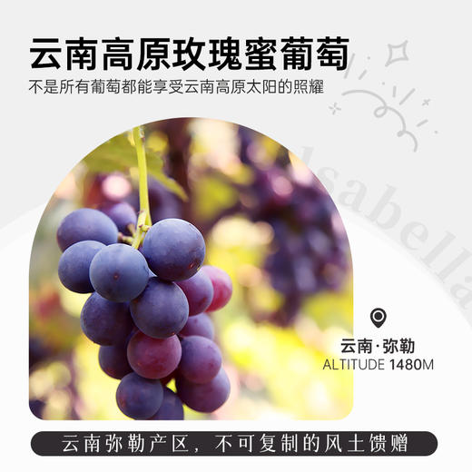 云南红老树4星干红13度干白12度葡萄酒750ml弥勒酒庄 商品图6