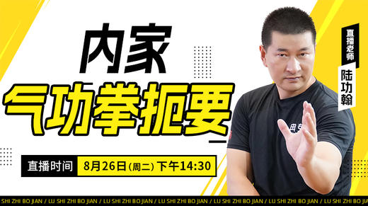 【8月26日】内家气功拳扼要 商品图0