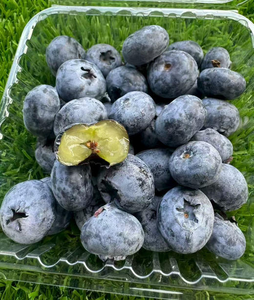 怡颗莓蓝莓，每一口都是“花青素”
含维生素C与膳食纤维，有助于：
✔️ 护眼明目✔️ 延缓衰老、提升肤质
✔️ 增强免疫力，大果，果粉浓，年度皇冠蓝莓！ 商品图0