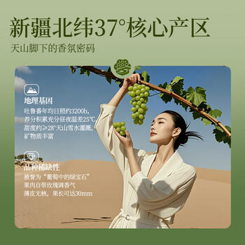 楼兰蜜语大颗绿香妃葡萄干280g/罐  香妃葡萄干系列 零食 蜜饯果干 葡萄  /休闲食品 /蜜饯果干 /葡萄干 商品图4