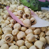 【莲子/藕粉】无熏硫无漂白/人工剥皮挑选粒粒精品/煮粥煲汤滑脆爽口 商品缩略图2