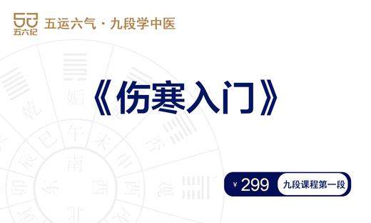 《伤寒入门》课_下单后加助教微信进群:hulutcm7;伤寒入门配套资料(1件) 商品图0