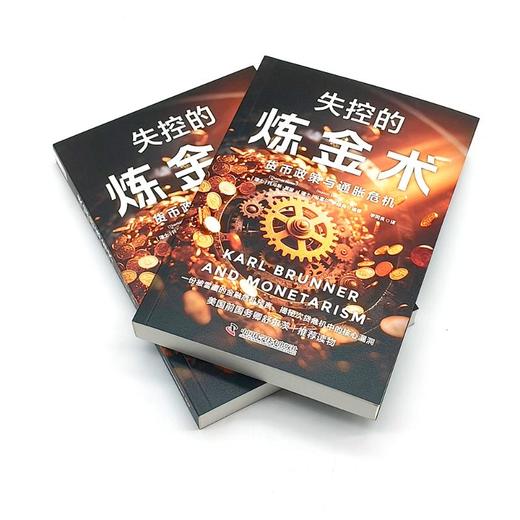 失控的炼金术 货币政策与通胀危机 商品图4