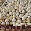 【莲子/藕粉】无熏硫无漂白/人工剥皮挑选粒粒精品/煮粥煲汤滑脆爽口 商品缩略图3