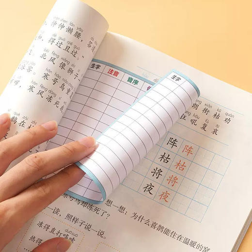 以信十三行生字预习卡/卡皮巴拉系列 商品图1