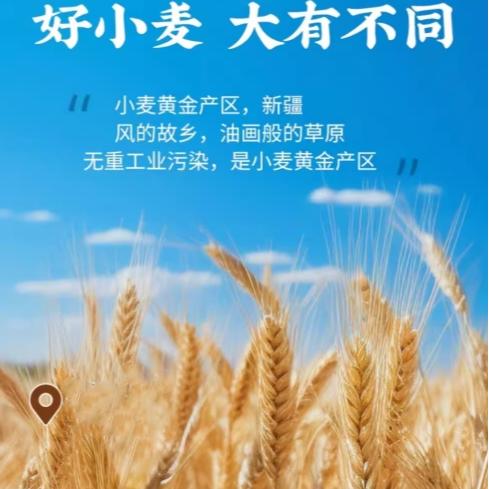 苏米仔新疆青稞荞麦面600g 商品图1