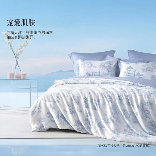 水星集团百丽丝家纺60支天丝四件套 商品图1