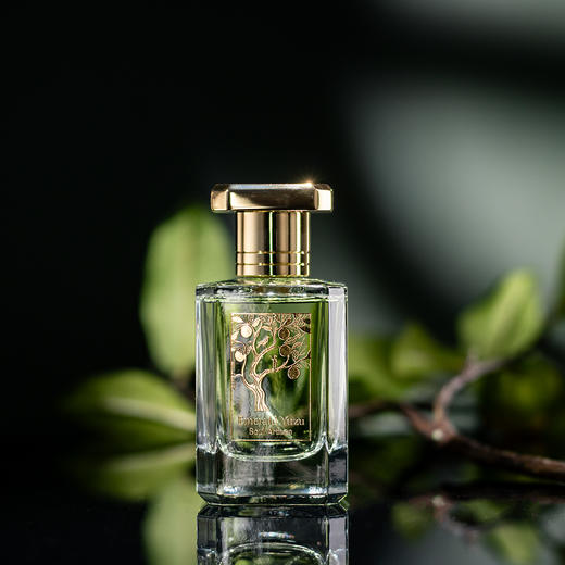 25年新香！心灵工匠 小人国-翡翠青柚 Soul Artisan Emerald Yuzu 分装 商品图1