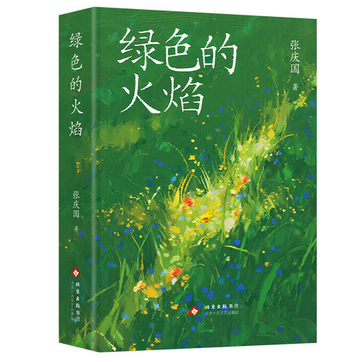 绿色的火焰 商品图0