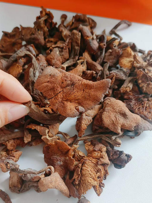 东北榛蘑基地直邮 商品图2